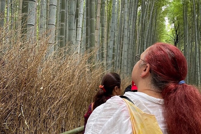 Otagi Nenbutsu Temple and Arashiyama Bamboo Forest Tour - Traveler Reviews and Feedback