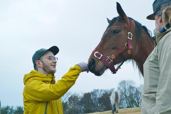 Pasture Hike With Horse Whisperer at Horse Trust in Kagoshima - Enjoying the Serenity of Kagoshima