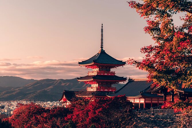 Private Airport Transfer Kansai Intl. Airport(KIX) to OSAKA CITY - Booking and Cancellation Policies