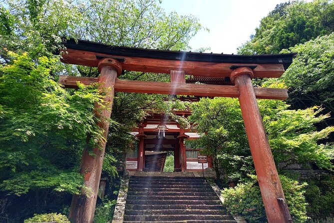 Private Guided Half-Day Walking Tour in Yoshinoyama - Payment Options