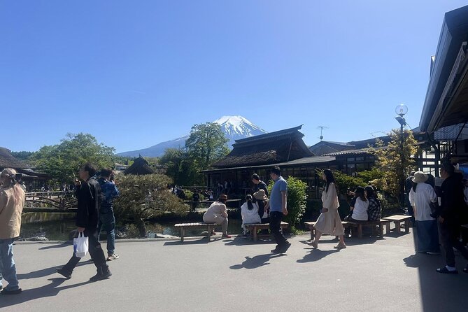 Private Guided Tour at Mount Fuji Majesty - Exploring Mount Fuji Majesty