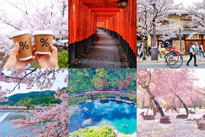 Private Kyoto Customizable Day Tour With English Guide - Highlights of the Kyoto Tour