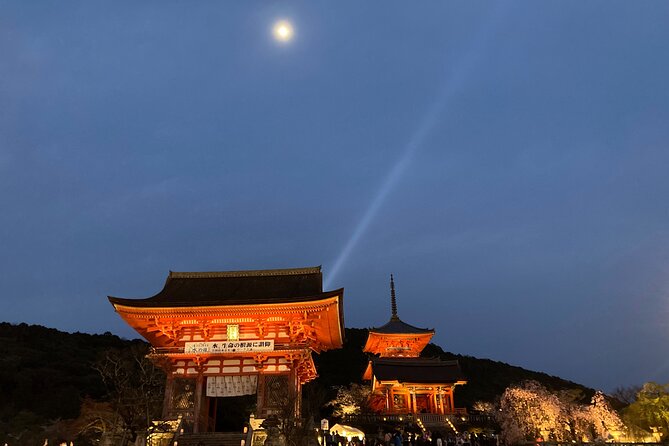 Private Kyoto With Exceptional Guide Tailored to Your Needs - Exceptional Guide Expertise