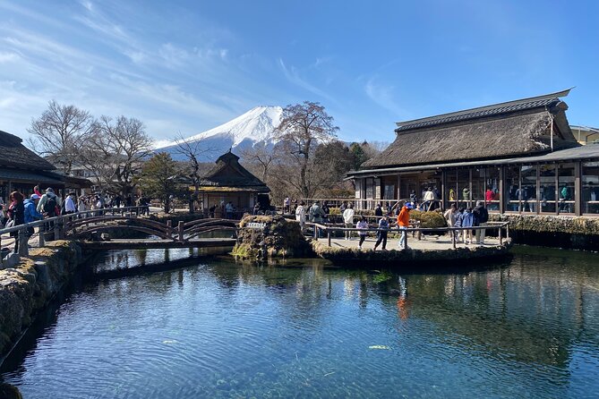 Private Mt.Fuji Driving Tour With a Local English Speaking Guide - Tour Accessibility and Participation