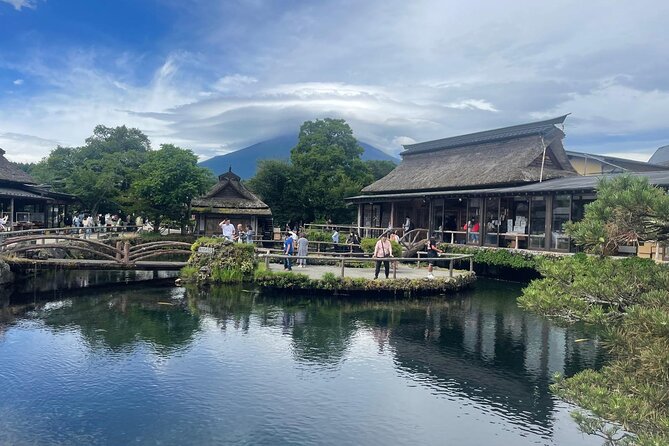 Private Sightseeing Full Day to Mt Fuji and Hakone - Booking Information