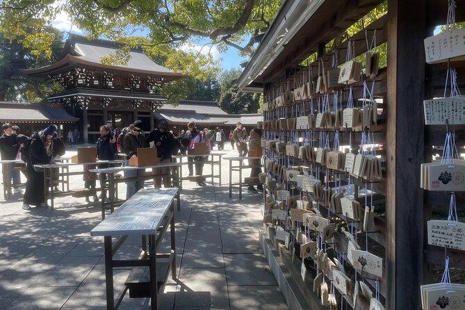 Private Tokyo Tour With Local Guide - Booking and Reservation Information