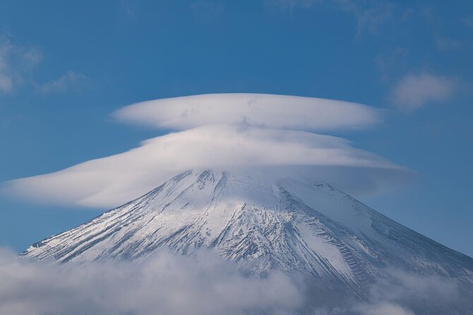 Private Tour of Mount Fuji With Kawaguchi Lake and Oshino Hakkai - Positive Review Highlights