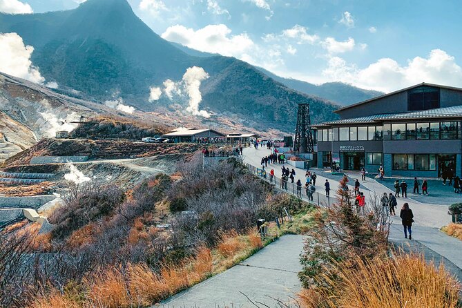 Private Tour to Mount Fuji & Hakone With English Speaking Guide - Highlights of the Tour