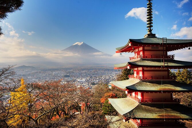 Private Transfer for Custom Day Tour in Tokyo - Customer Reviews