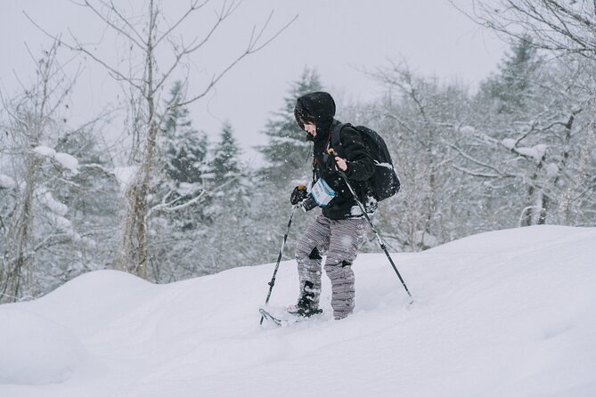 Shared Snowshoe Hiking Tour in Semboku - Experience the Beauty of Snowy Semboku