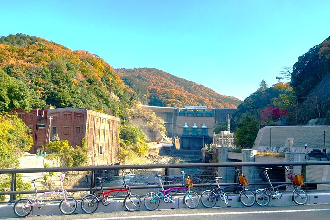 Slow Cycling Tour at Ujis Matcha Green Tea Fields and Heritage - Taking in the Local Culture and Customs