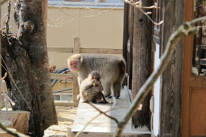 Snow Monkey & Shibu Onsen Private Tour (Nagano, Nozawa, Myoko) - Exploring Shibu Onsen