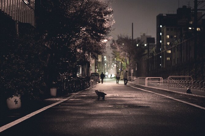 The Dark Side of Osaka Walking Tour - Delving Into Osakas Criminal Underworld