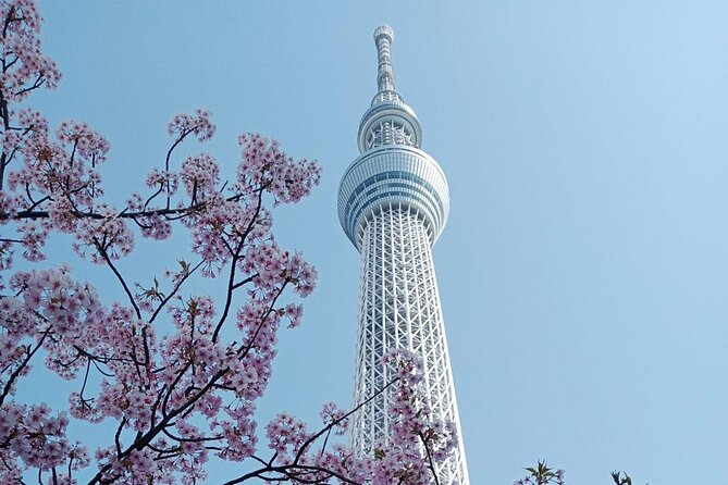 Tokyo Customizable Private Tour With English Speaking Driver - Pricing and Booking