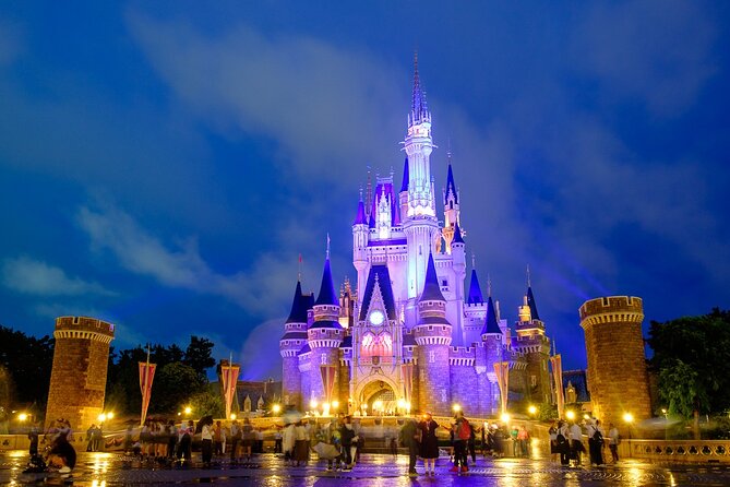 Tokyo Disney Resort Park E-Tickets With Optional Tokyo Metro Pass - Why Choose Tokyo Disney Resort?