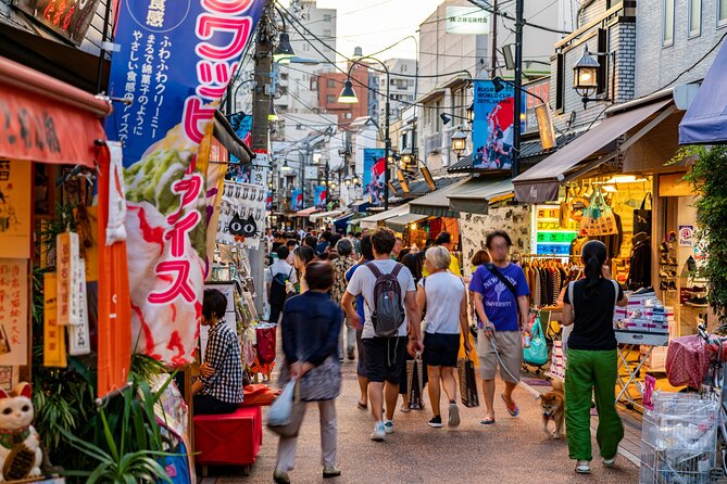 Tokyo, Encounter Cultural Heritage & Enjoy the Old Town - Getting There