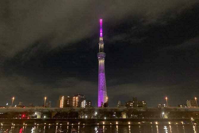 Tokyo Haneda - Layover 5 Hours Private Tour - Accessibility and Inclusivity