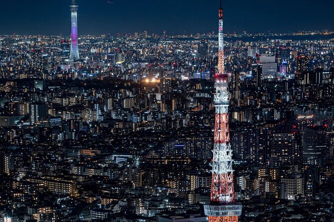 Tokyo Private Customizable One Day Private Trip With Guide - Insider Tips for Your Tokyo Adventure