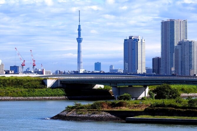 Tokyo Private Guided Tour With Hotel Pickup and Drop off - Exploring Tokyos Iconic Landmarks