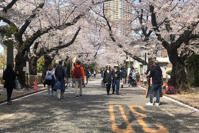 Tokyo Spring Daytime (Cherry Blossom) Food Tour - Inclusions and Exclusions