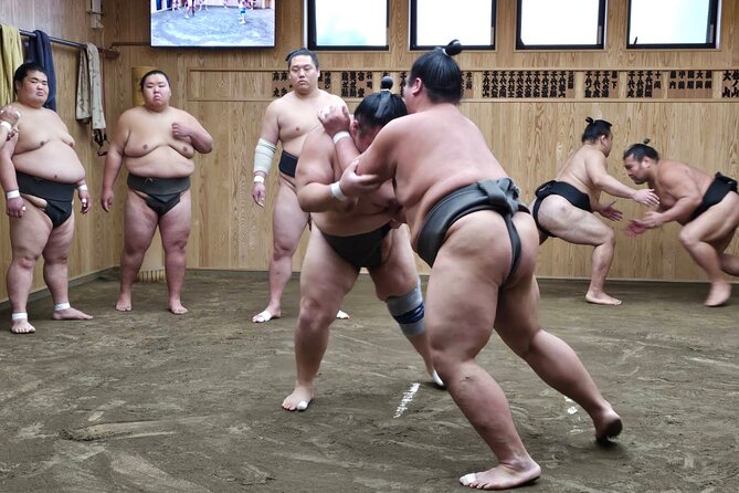 Tokyo Sumo Wrestling Morning Practice Tour With Private Transfer - Preparing for the Tour