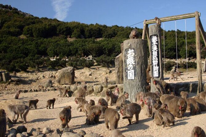 1-Day Shodoshima Island Bus Tour - Inclusions