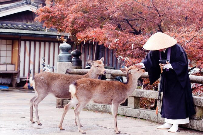 3 Days Private Osaka Kyoto and Nara Tour With English Driver - Discovering Nara