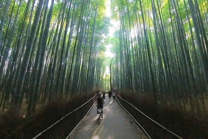 A Hidden Gem Away From the Crowds: E-Bike Tour in Arashiyama - Embracing the Journeys Memorable Moments