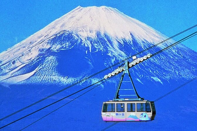 Beyond the Ordinary: Private Mount Fuji & Cherry Blossom Tour - Accommodating Special Needs and Preferences