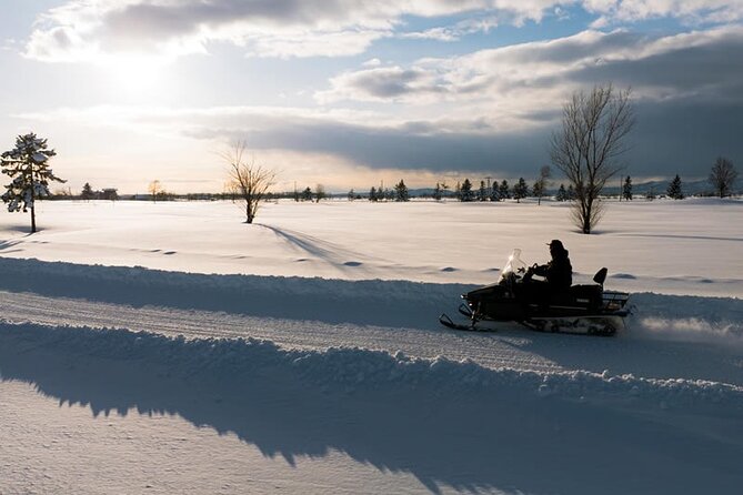 Bibai Snow Land Experience With Lunch and a Snowmobile Activity - Seafood Hot Pot Lunch