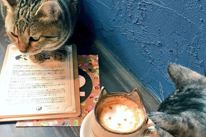 Cat Cafe & Bar Private Tour in Yanaka & Yushima - Discovering Yushima