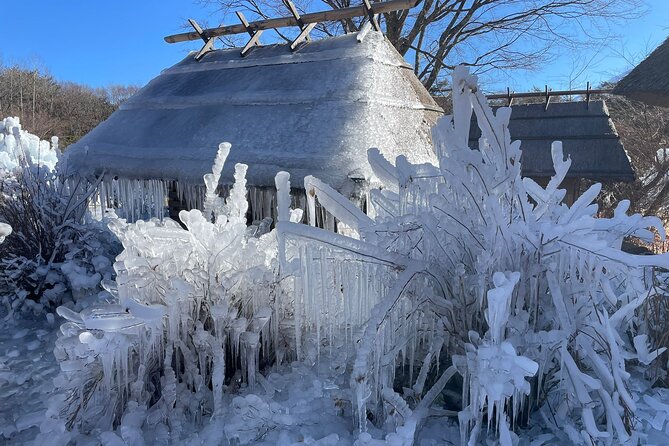 Customisable Mt.Fuji Private Day Trip, English Speaking Driver - Inclusions and Exclusions