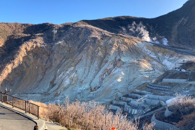 Customizable Hakone-Mt.Fuji Private Day Trip, Eng Speaking Driver - Experience Highlights