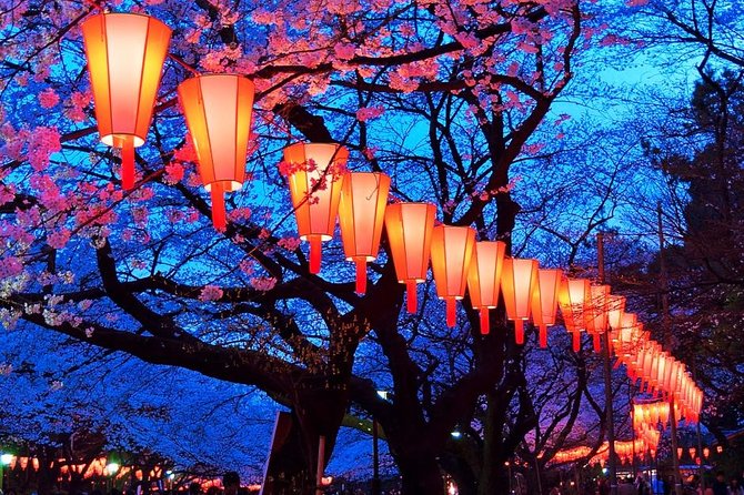 Evening Hanami (Cherry Blossom) Experience With a Local - Experiencing the Hanami Culture