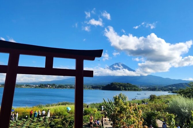 From Tokyo: Mount Fuji Full Day Private Tour With English Guide - Accessibility and Restrictions
