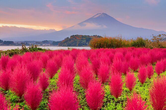From Tokyo: Mt Fuji and Hakone Private Day Trip - Touring the Historic Hakone Shrine