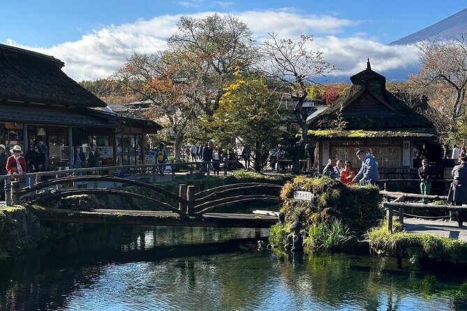 From Tokyo-Mt Fuji PVT 1 Day Customized Tour With English Driver - Customizing Your Itinerary