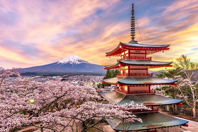 Full Day Tour at Mt. Fuji, Onsen, Lake Kawaguchi and Yamanaka - Booking Platform Privacy