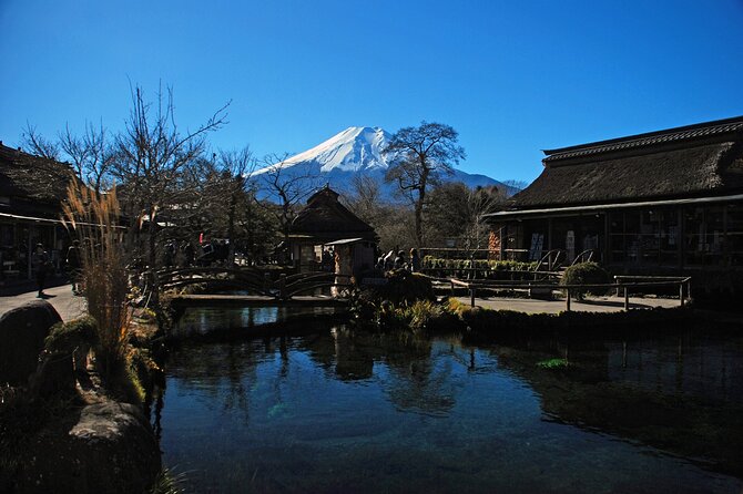 Full Day Tour of Mount Fuji and Hakone From Tokyo - Free Time and Lunch