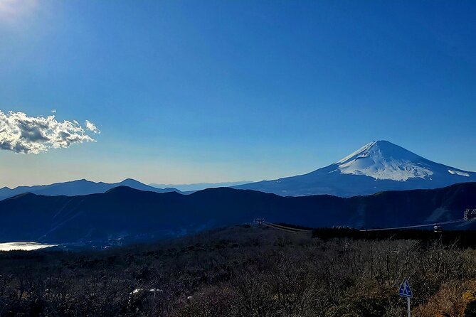 Guided Mt. Fuji & Hakone Tour Bullet Train Return GREEN NUMBER - Customer Reviews and Feedback