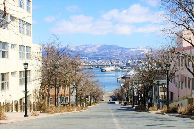 Hokkaido Hakodate Cherry Blossom 2D1N Bus Tour From Sapporo - Experiencing Goryokaku Tower