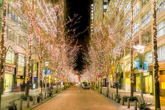 Holiday Lights Walk Tour Hibiya Midtown Tokyo Station Marunouchi - Traveler Reviews and Ratings