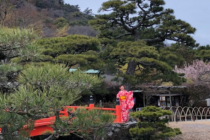 Japanese Style Room Tea Ceremony Class in Marugamemachi - Experience Highlights