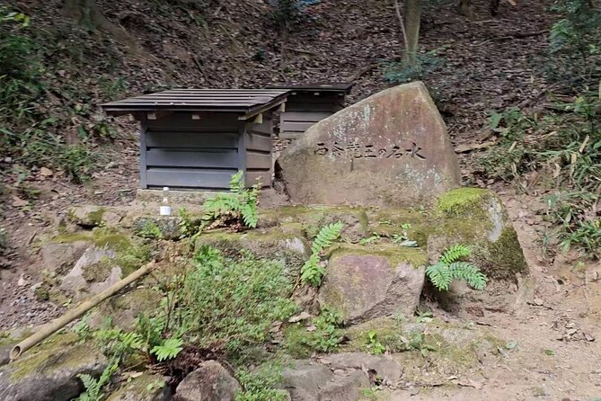 KAMOSU TABI The Sake Capital Saijo Wellness Tour - Additional Information