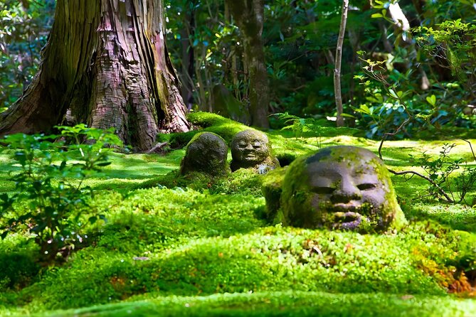 Kyoto and Nara Deer Sightseeing Day Trip From Osaka - Transportation and Meeting Point