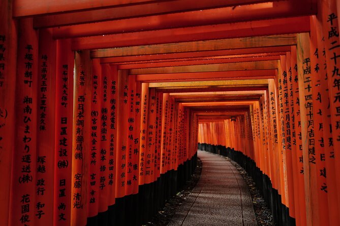 Kyoto and Nara in 1 Day in Fushimi Inari and Deer Park - Discovering Nara Deer Park