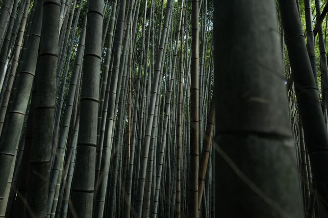 Kyoto Arashiyama Bamboo Forest Hidden Hiking Tour - Meeting and Pickup