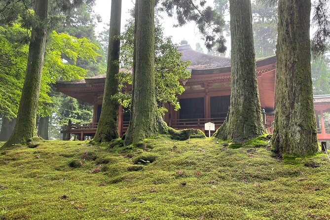 Kyoto: Private Tour of World Heritage Enryakuji and Monks Town - Guest Experiences and Feedback