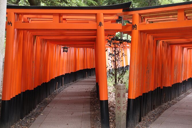 Kyoto Walking Tour at Fushimi Inari Shrine and Tofukuji Temple - Discovering Tofukuji Temple