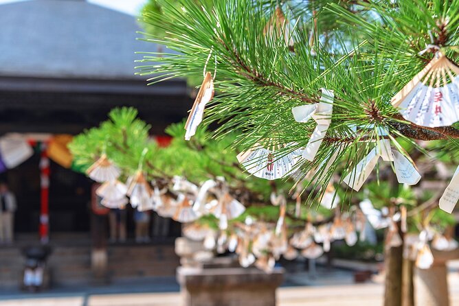 Kyotos Coast Amanohashidate and Ine Boathouse Full-Day Tour - Traveler Feedback: Negative Experiences